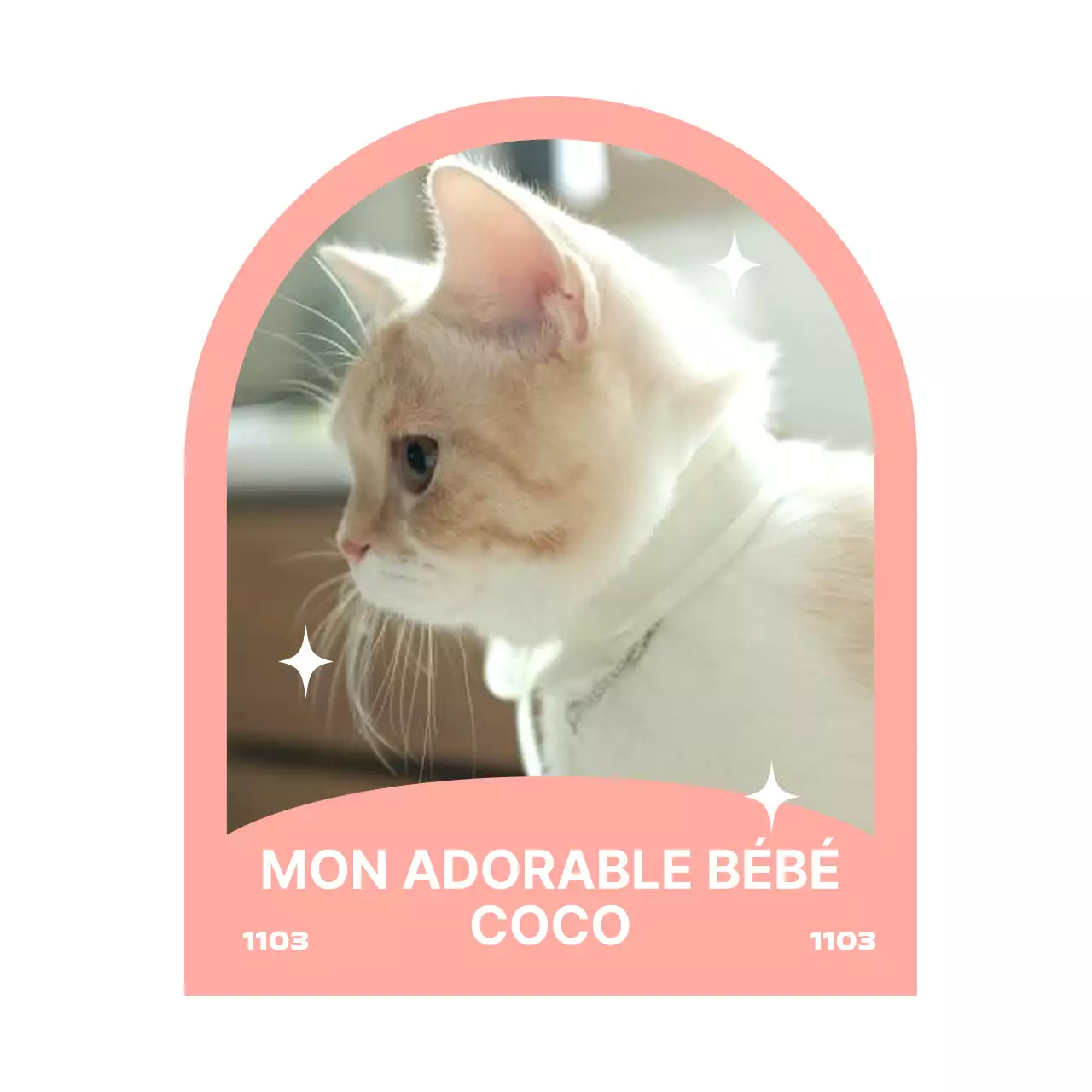 Marchandises pailletées et mignonnes avec des cadres et des photos en forme de dôme