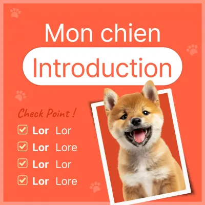 Présentation de notre petit chien orange