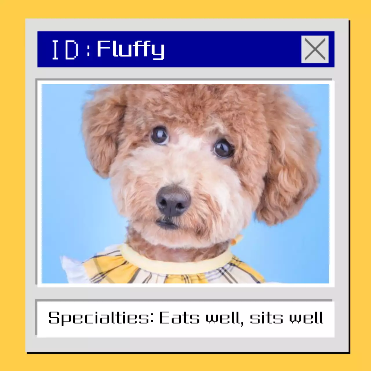 Yellow Retro Pet Card Instagram Post