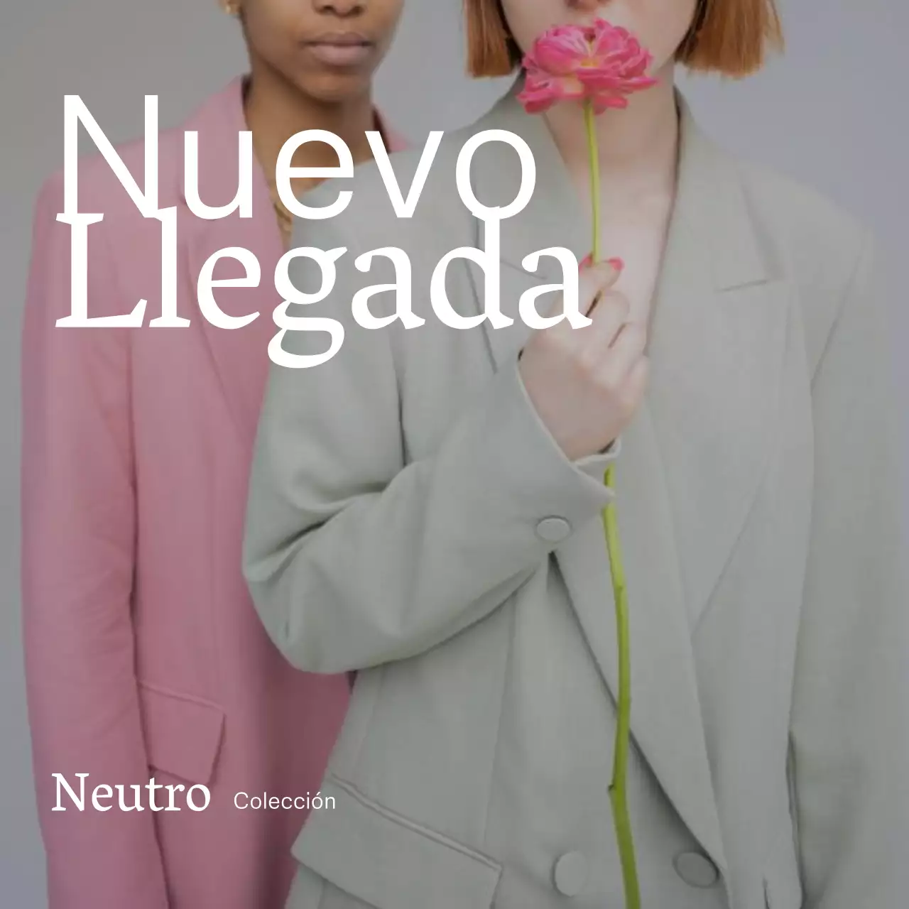 Anuncio de la nueva colección de moda básica en gris y blanco