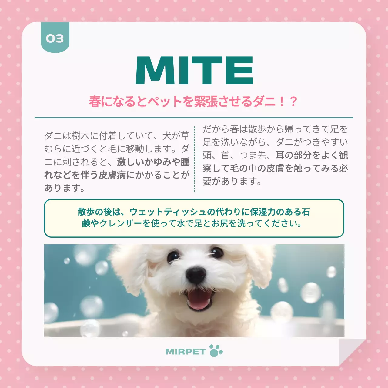 水色 かわいい ペット パンフレット Instagram カルーセル