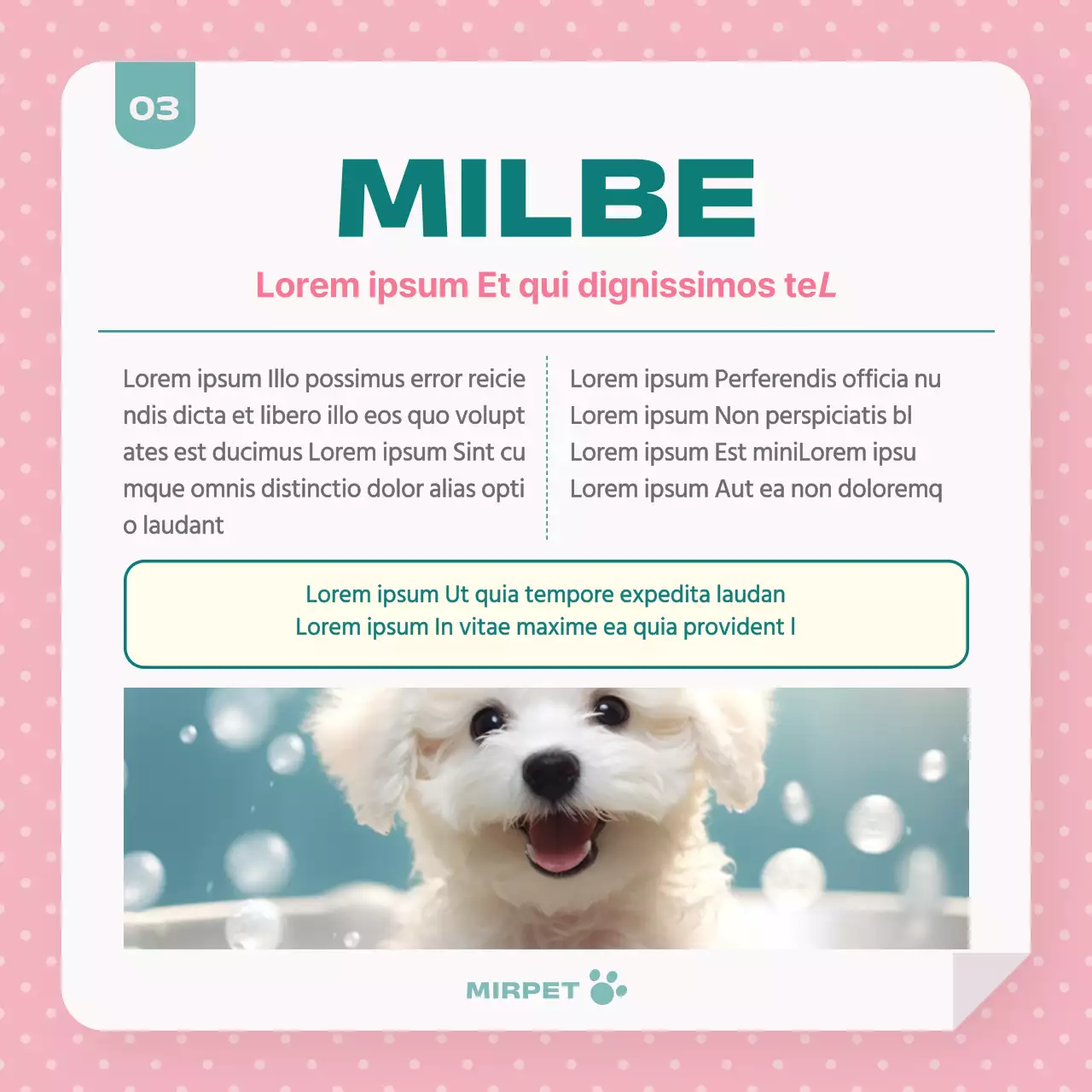 Förderung der Gesundheitsfürsorge für Haustiere in Mint und Rosa