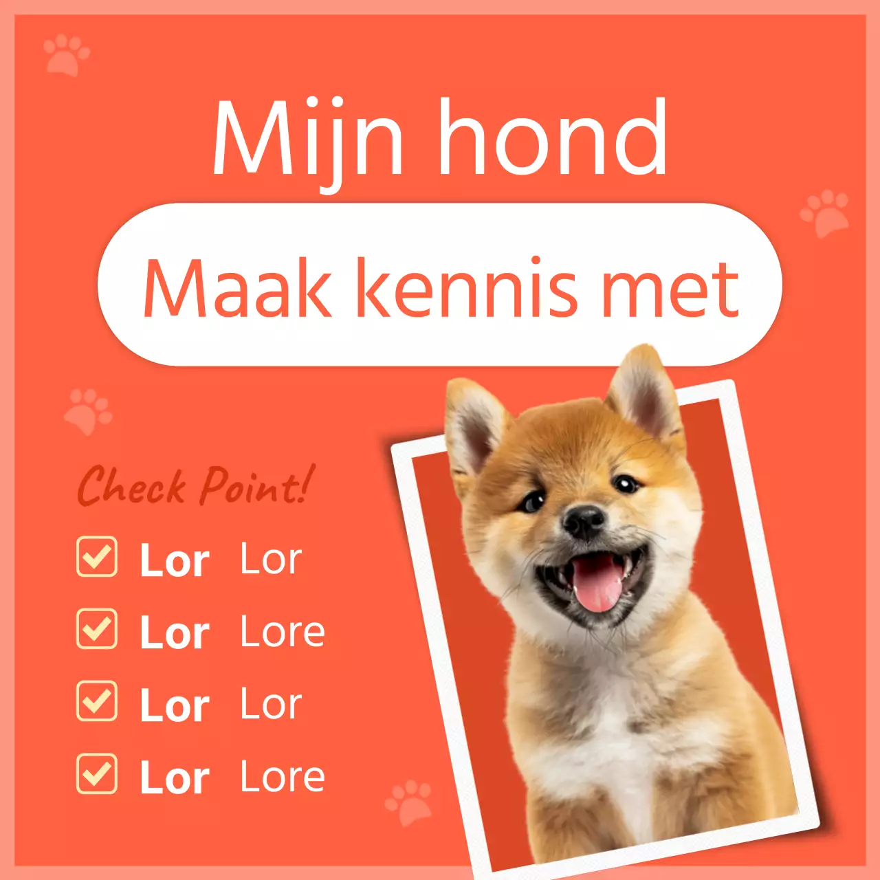 Een kennismaking met onze kleine oranje hond