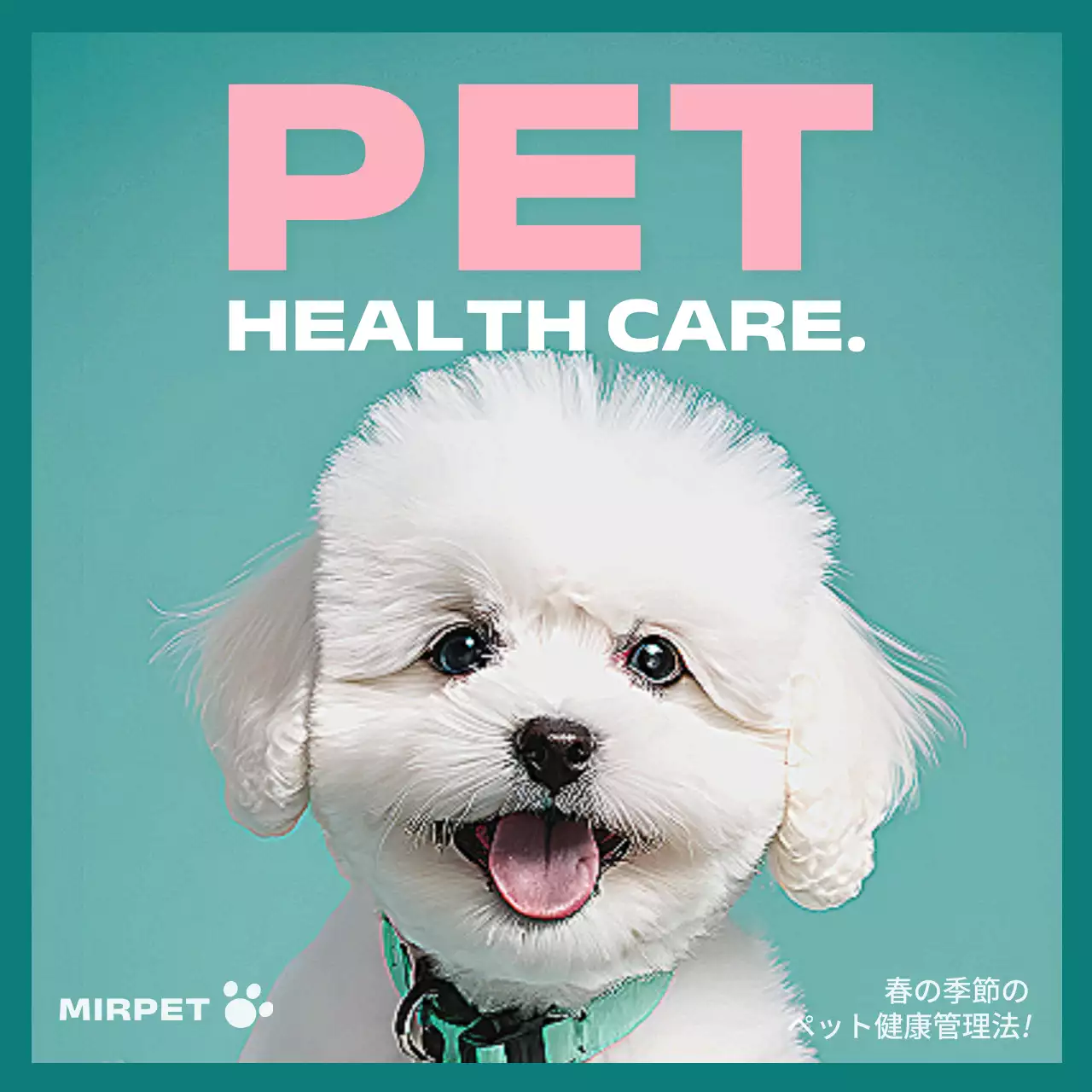 水色 かわいい ペット パンフレット Instagram カルーセル