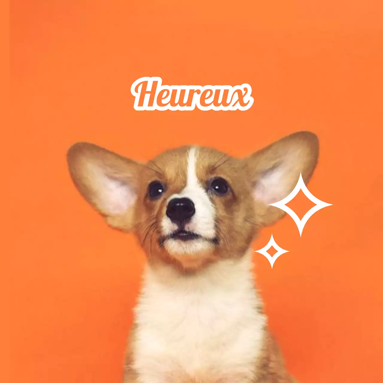 Créer des badges avec des photos d'animaux mignons