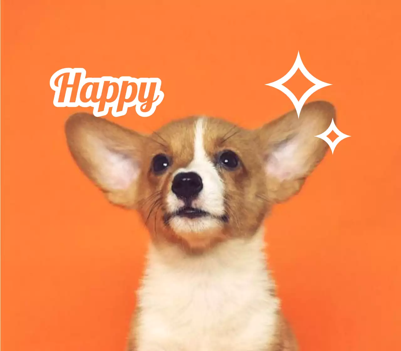 かわいい動物の写真を活用した名札デザイン