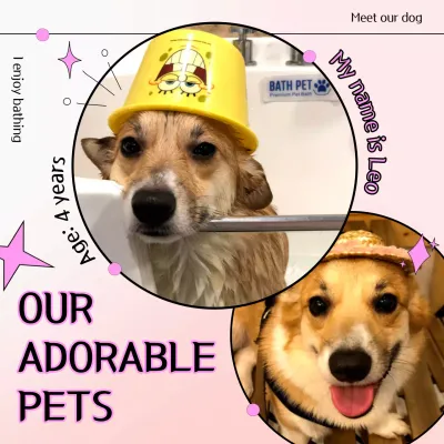 Pink Playful Pets Announcement Instagram Post