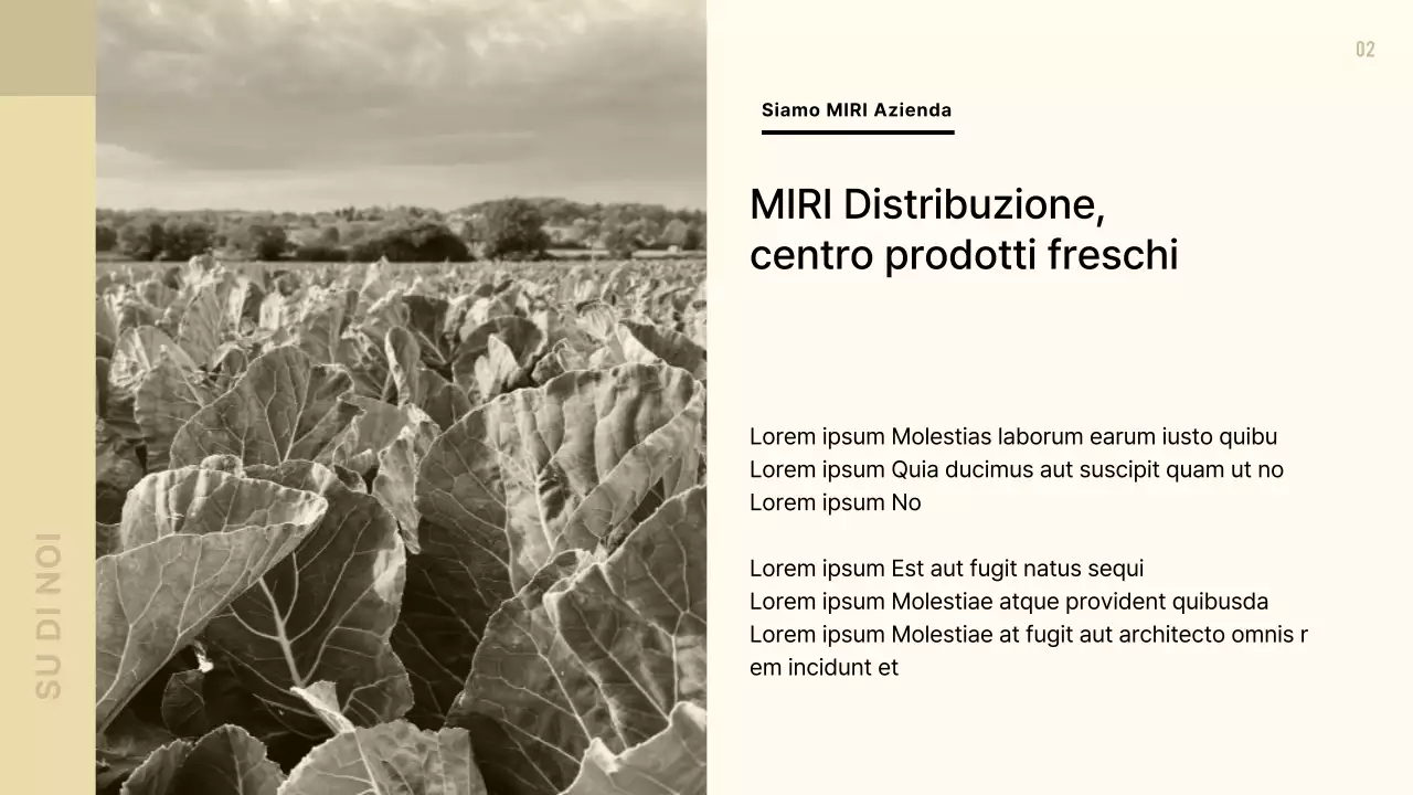 Proposta di ristorazione moderna in beige e marrone