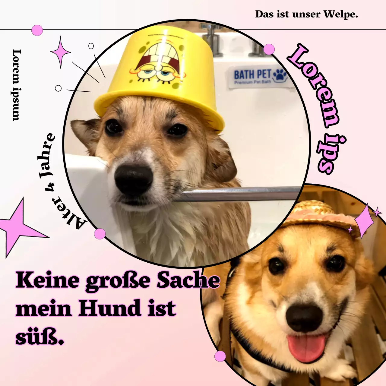 Werben Sie für Ihr rosa, kuscheliges Haustier