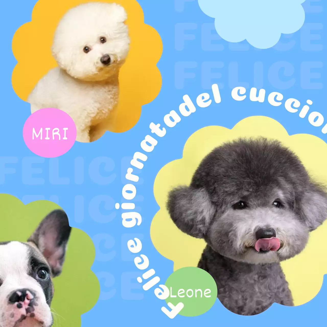 Promuovete il vostro cucciolo con una foto in una cornice blu, graziosa e floreale.