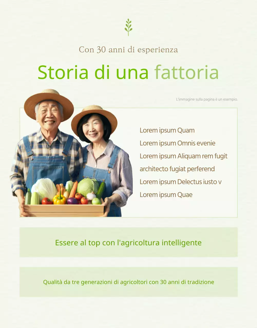 Spiegazione dei prodotti verdi e gialli in vendita