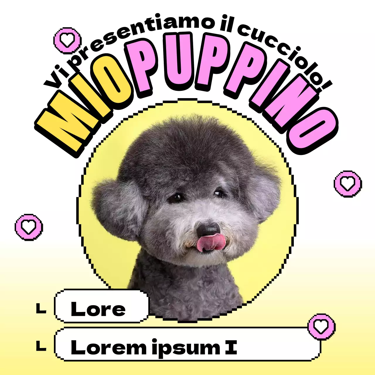 Un post che presenta un adorabile cucciolo giallo e rosa