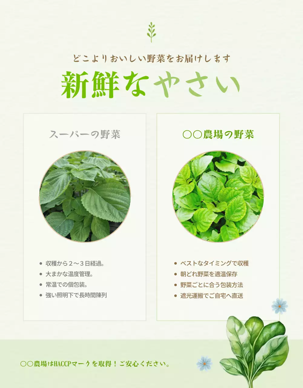 緑 シンプル 野菜 パンフレット 詳細ページ