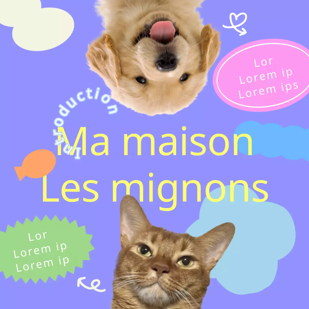 Promouvoir votre ami à fourrure violet