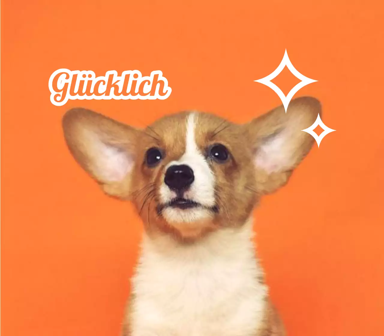 Namensschilder mit niedlichen Tierfotos gestalten