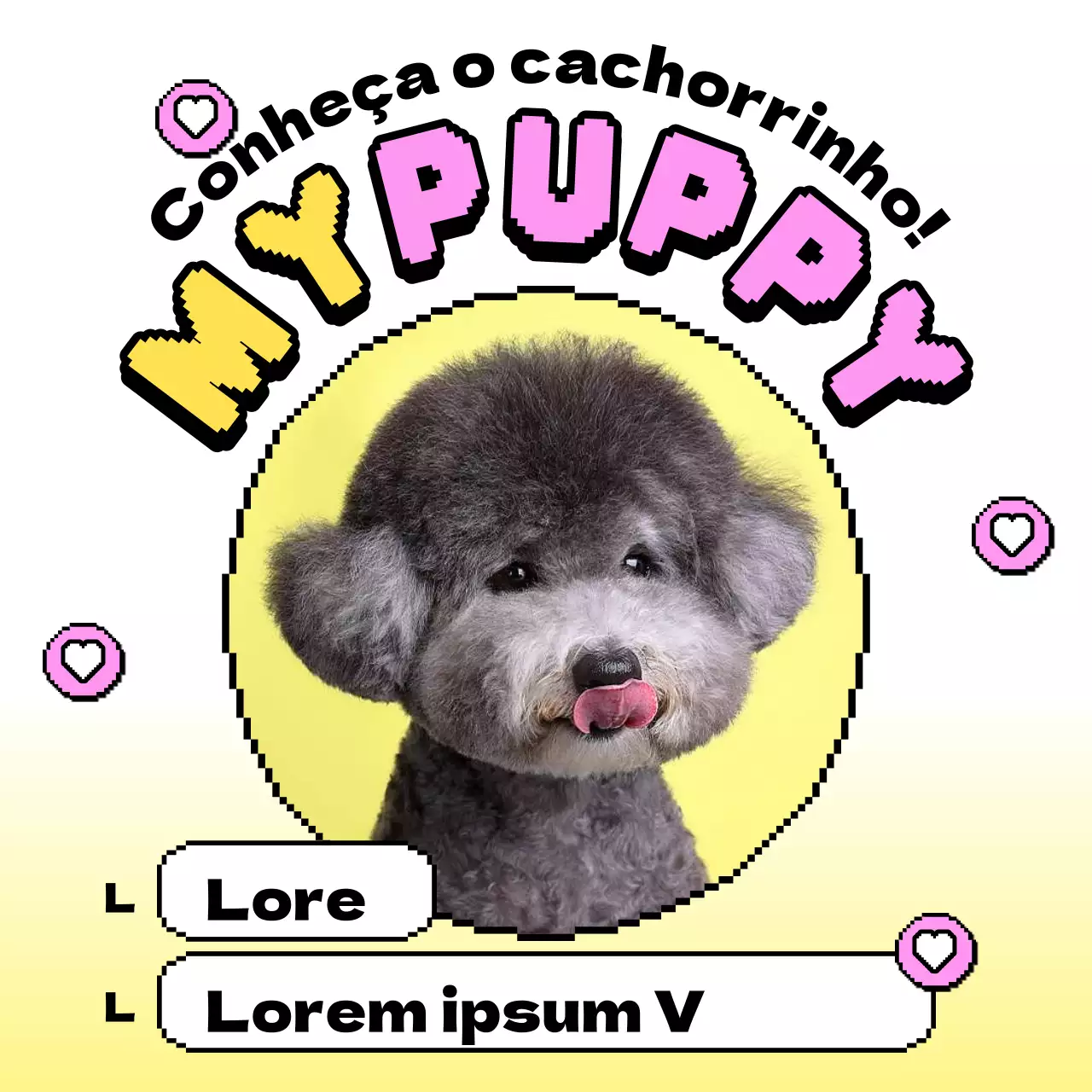 Uma publicação que apresenta um adorável cachorrinho amarelo e cor-de-rosa