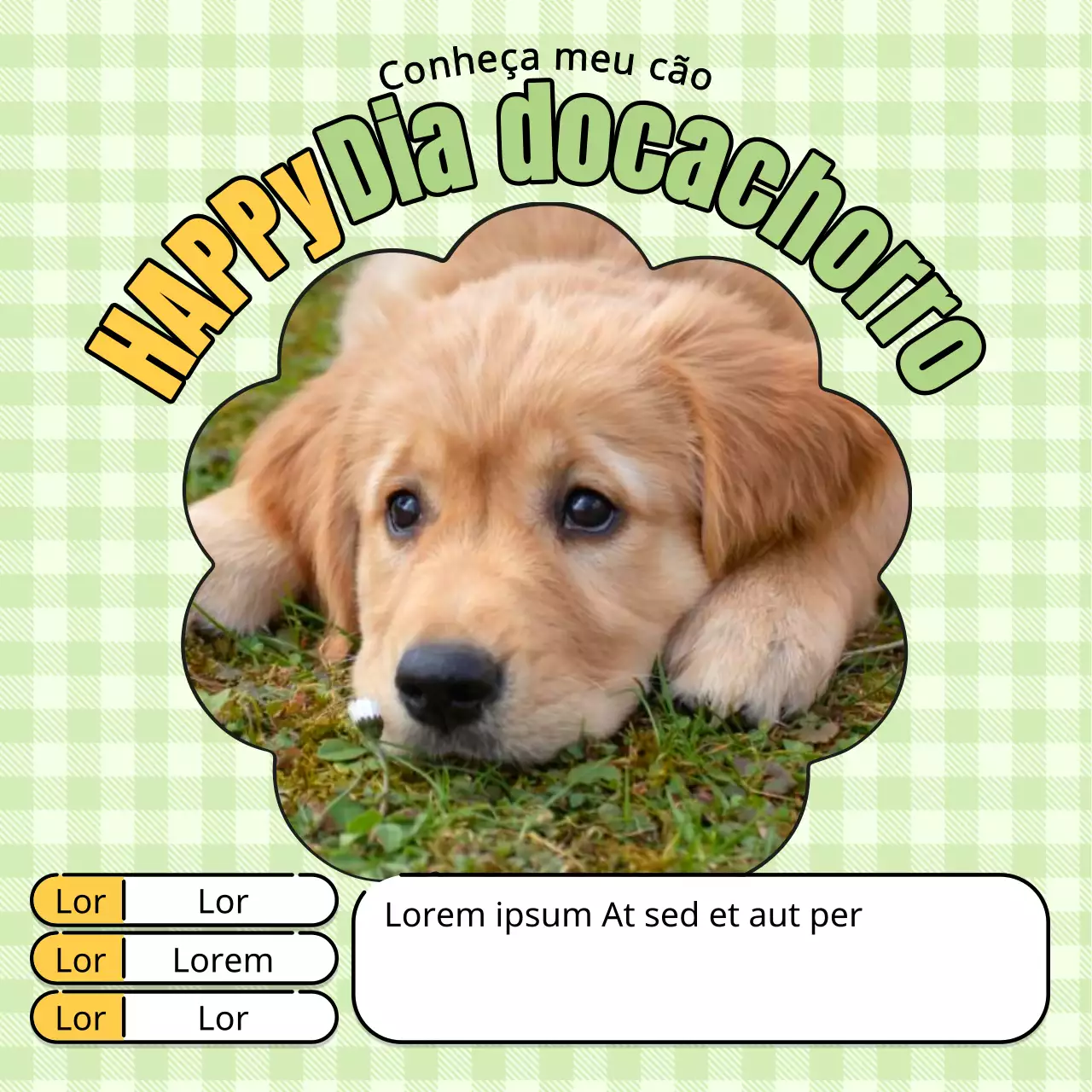 Promover um cachorro kitsch em chartreuse