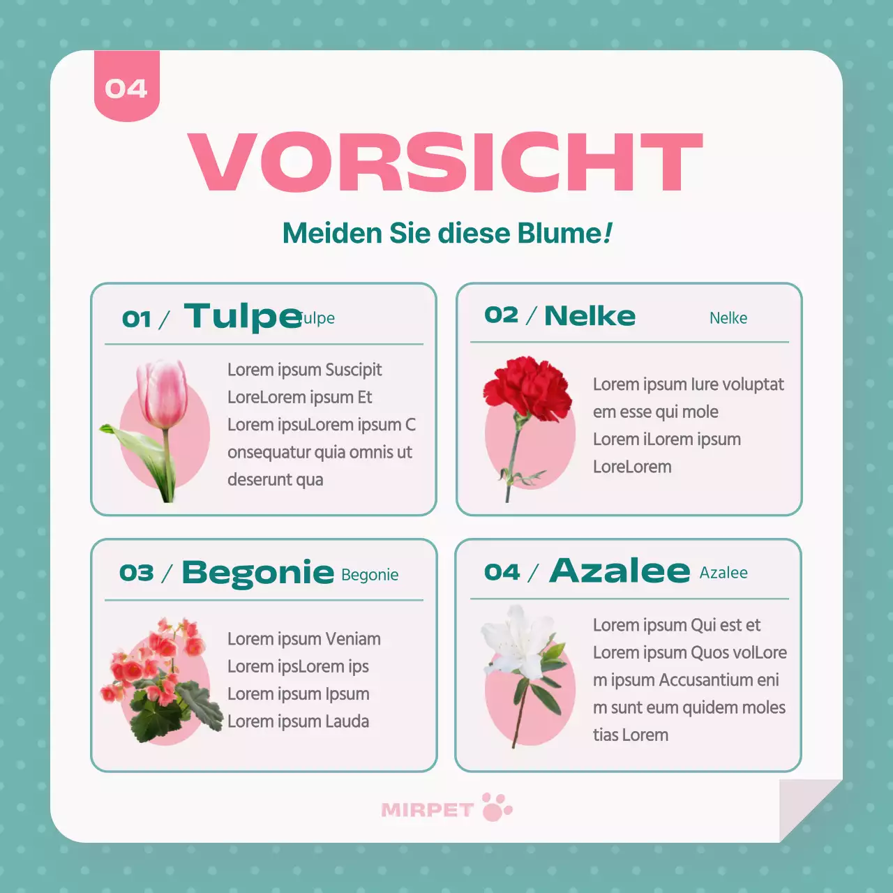 Förderung der Gesundheitsfürsorge für Haustiere in Mint und Rosa