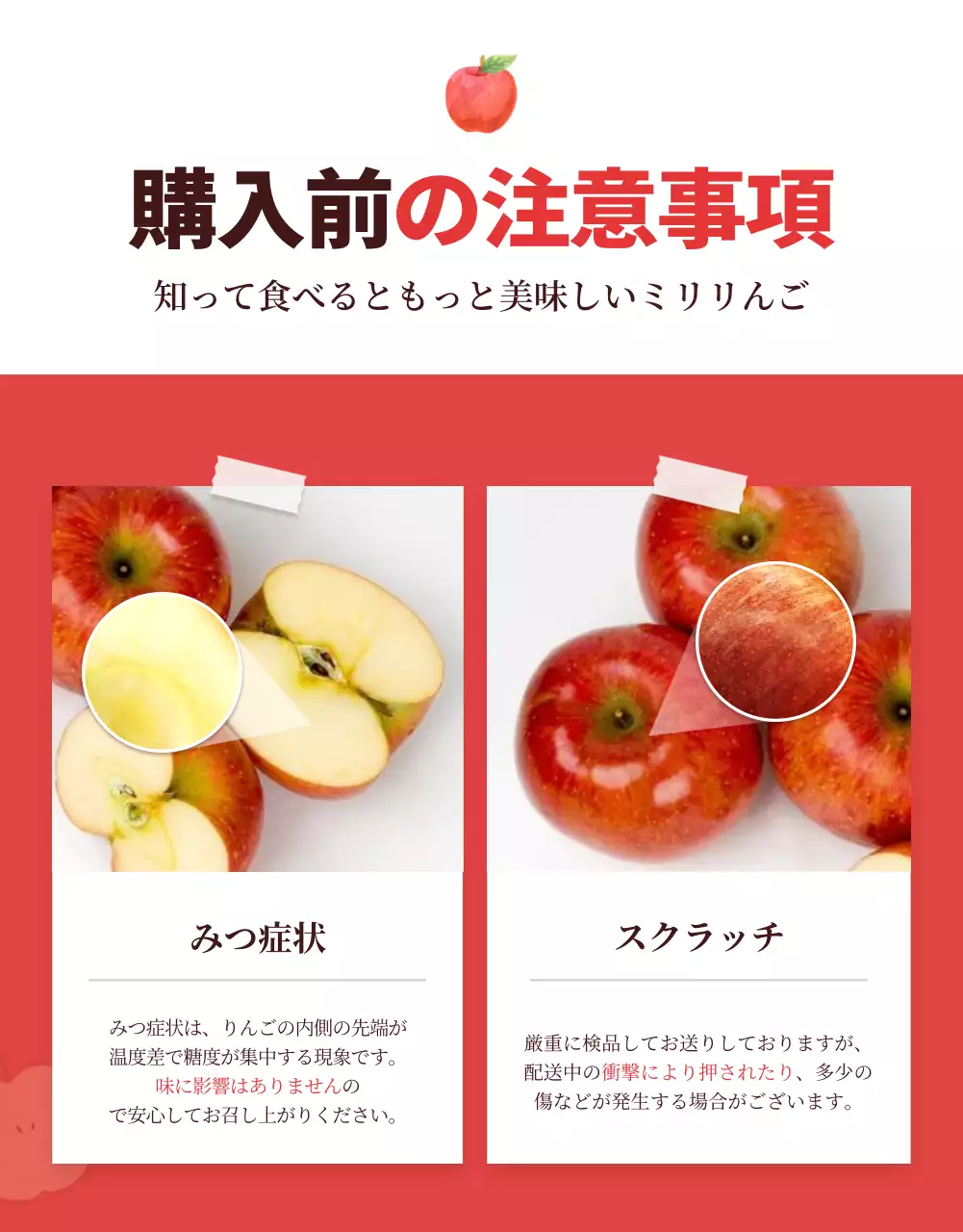 赤 シンプル りんご パンフレット 詳細ページ