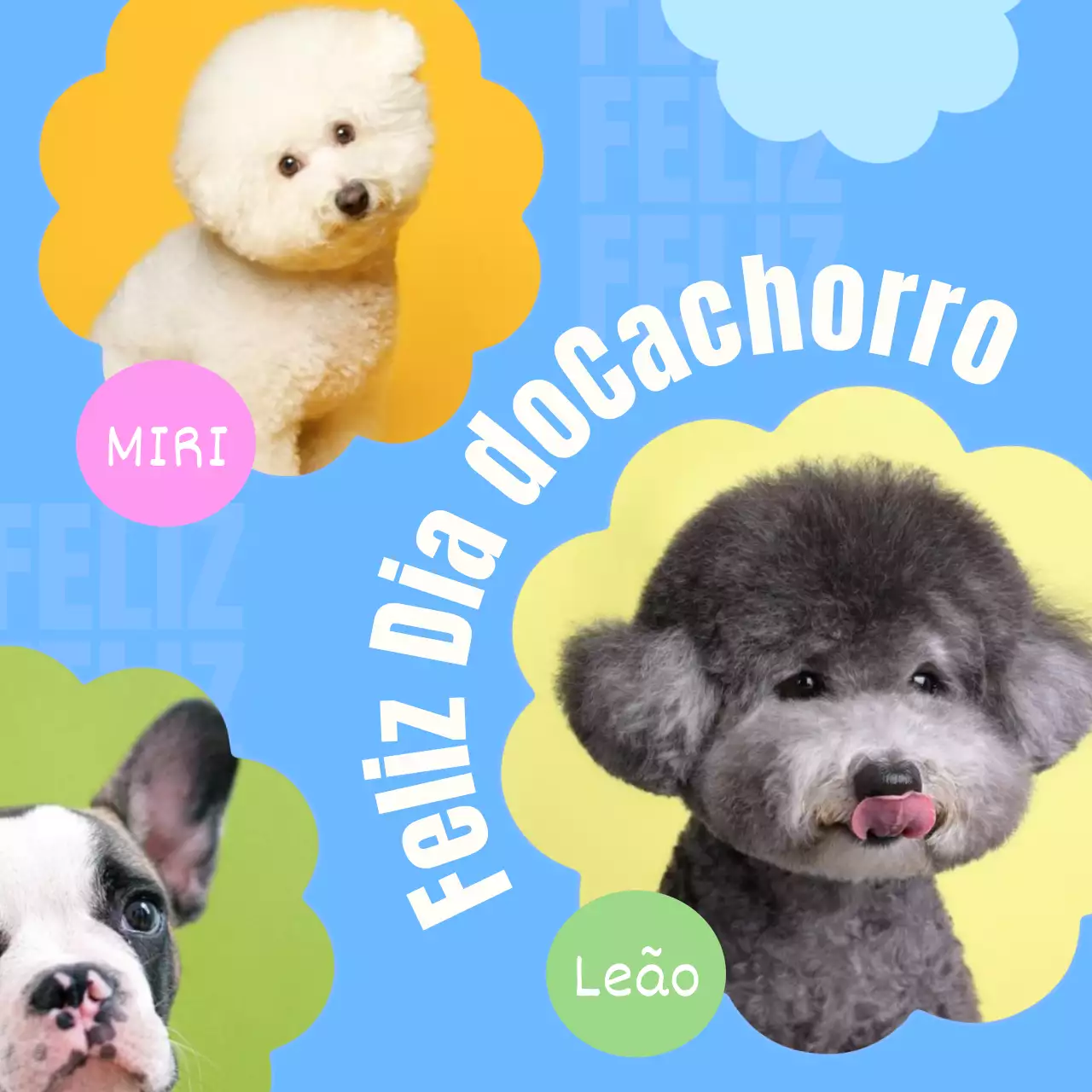 Promova o seu cachorro com uma fotografia numa moldura azul, bonita e floral