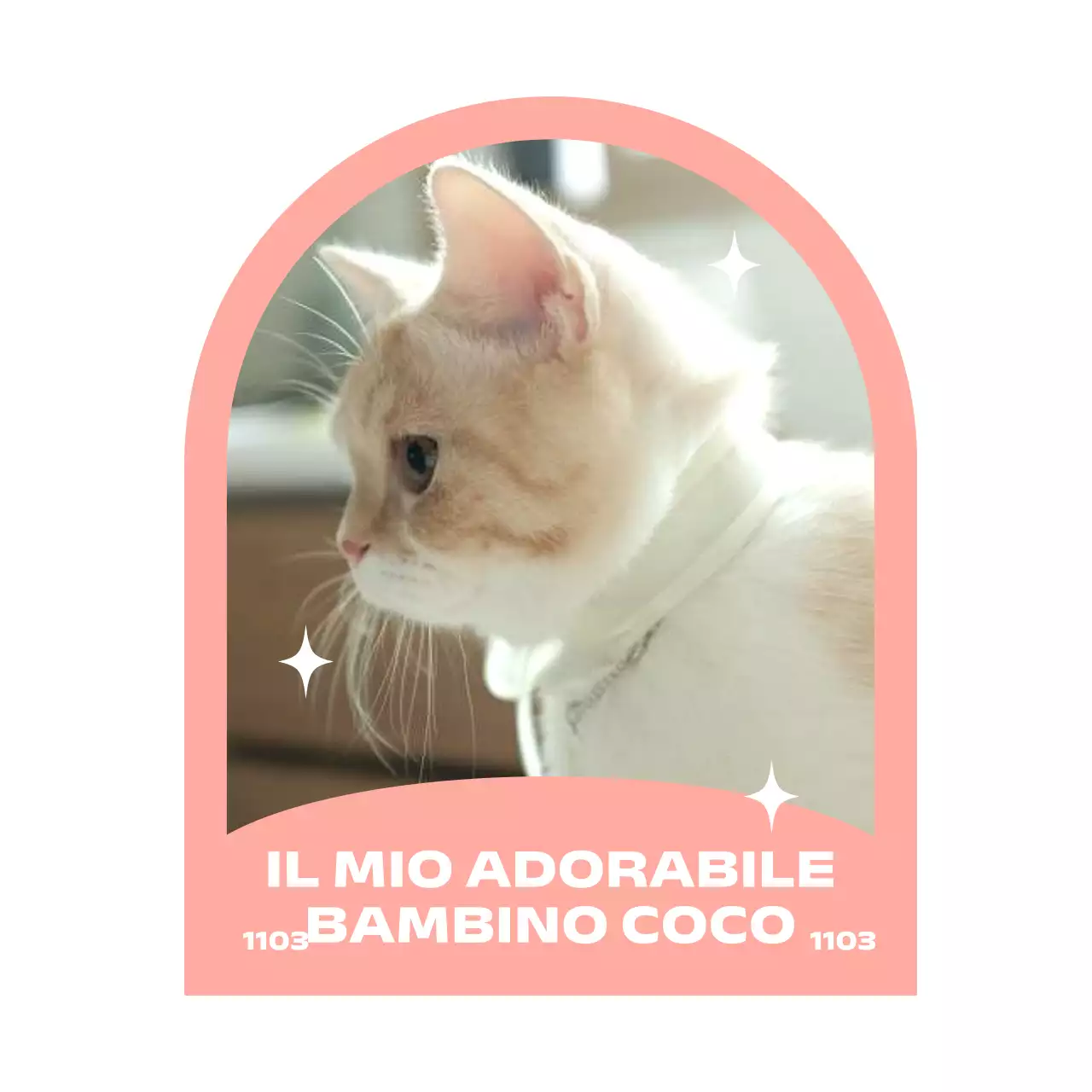 Merce scintillante e carina con cornici e foto a cupola