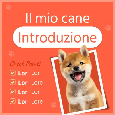 Una presentazione del nostro piccolo cane arancione