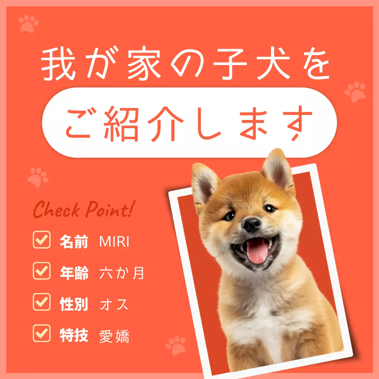 オレンジ かわいい ペット ポスター SNS投稿 正方形