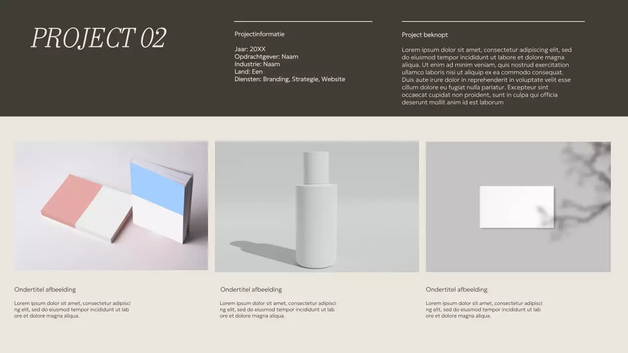 Beige en kaki minimalistisch creatief portfoliomateriaal