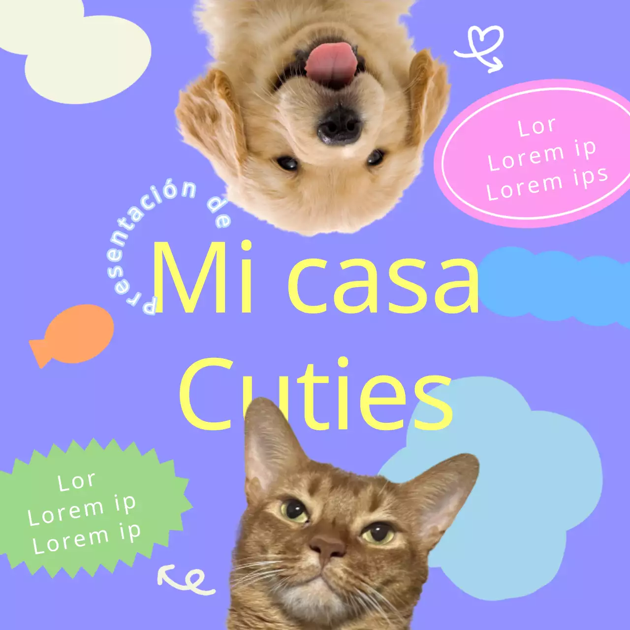 Promociona a tu peludo amigo morado