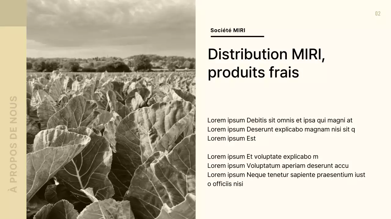 Proposition de service alimentaire moderne dans les tons beige et marron