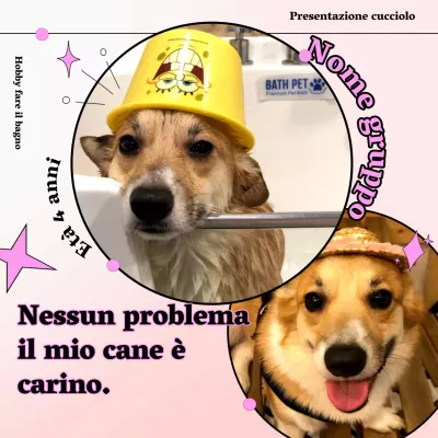 Promuovete il vostro animale domestico rosa e coccoloso