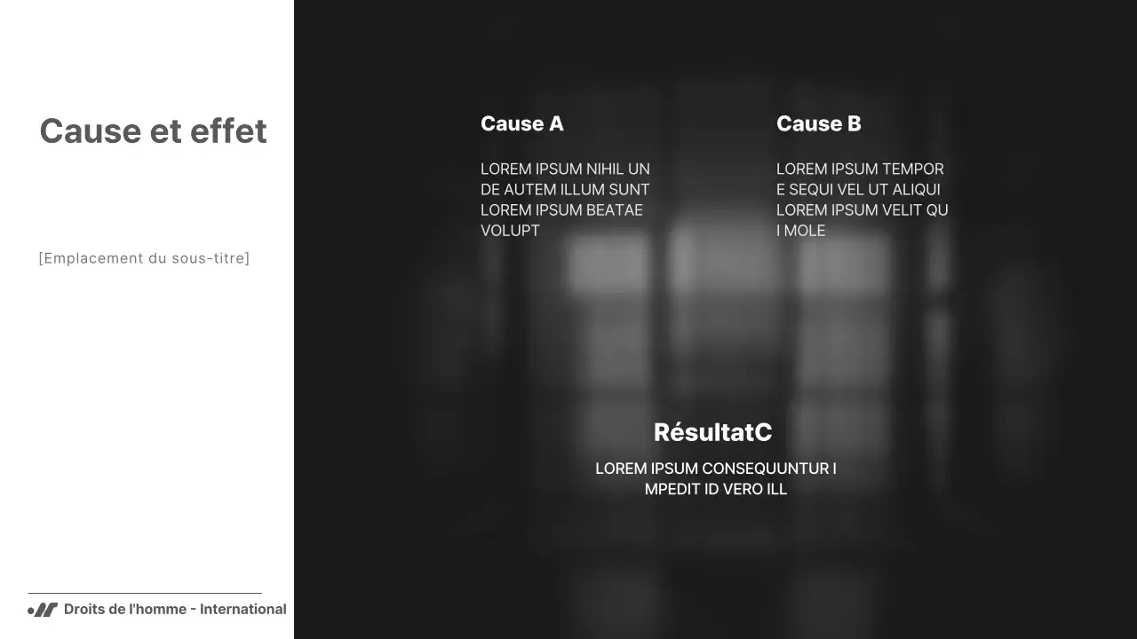 Noir et blanc, un rapport simple mais puissant pour les ONG