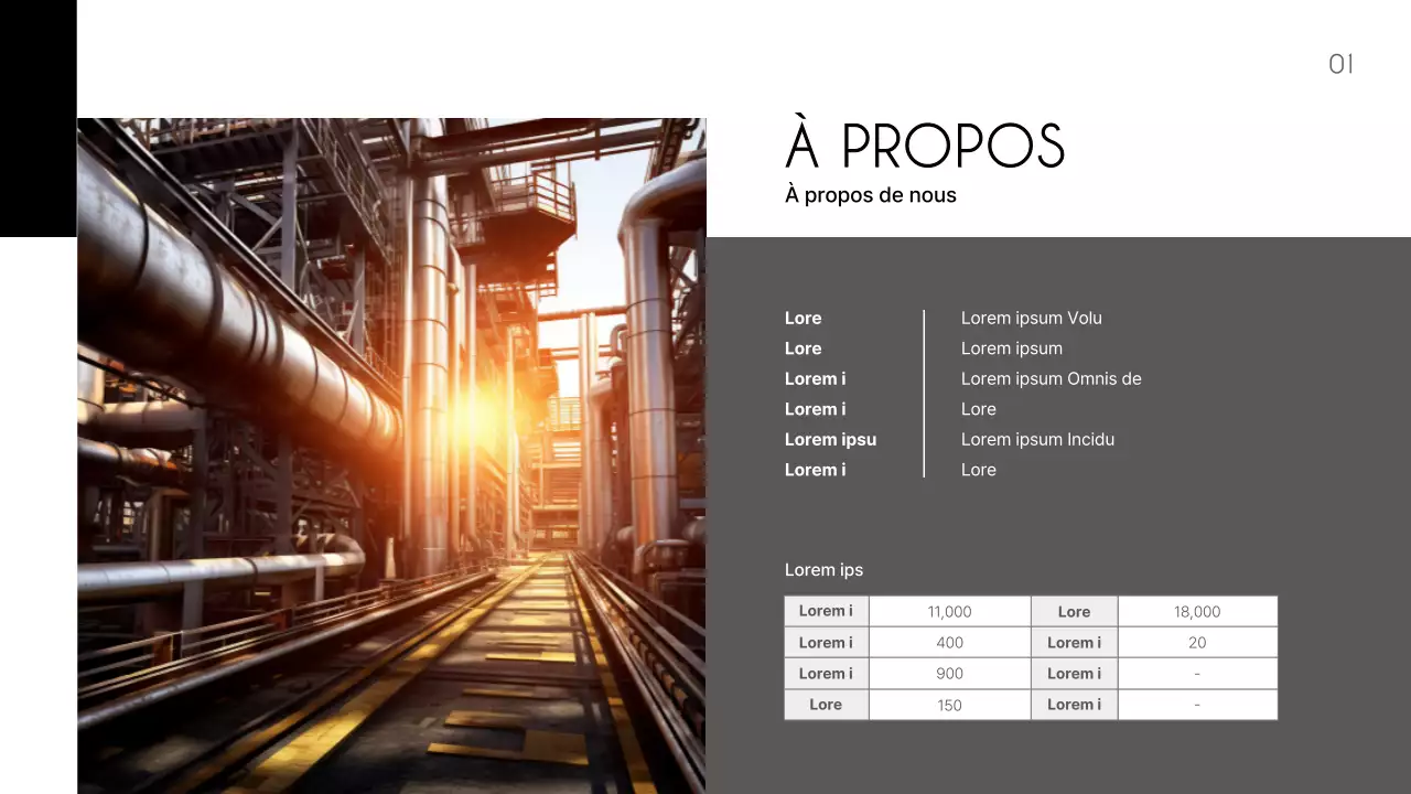 Un prospectus simple, en noir et gris, pour un fabricant de produits pétrochimiques