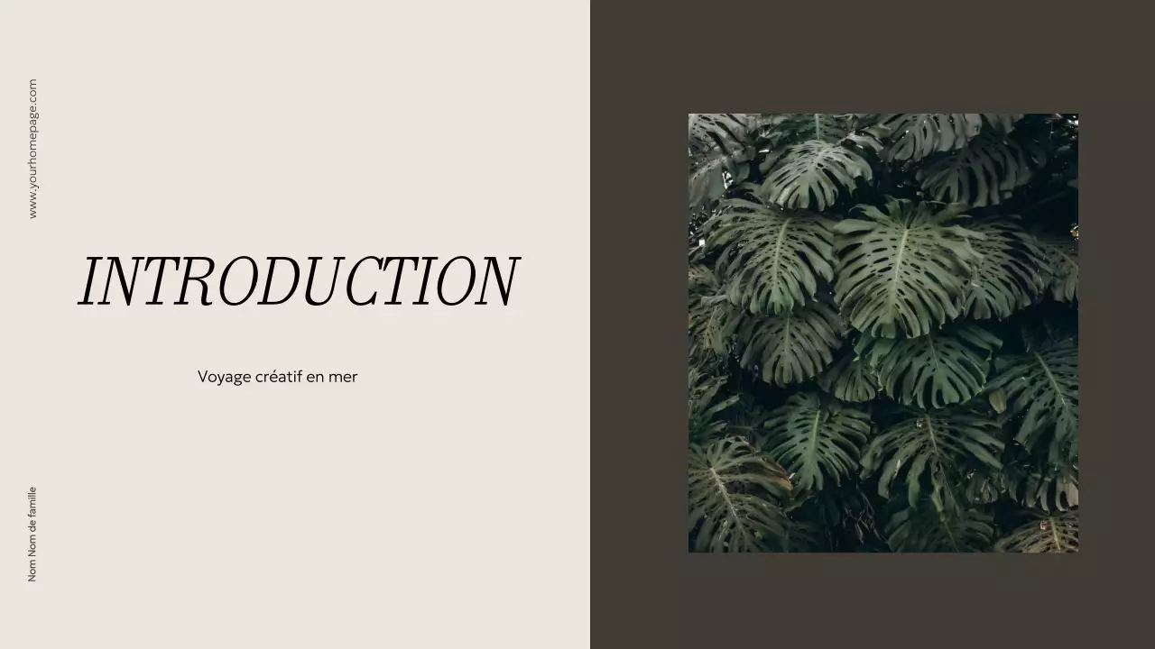 Matériel de portfolio créatif minimaliste beige et kaki