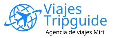 Guías de agencias de viajes con ilustraciones de aviones