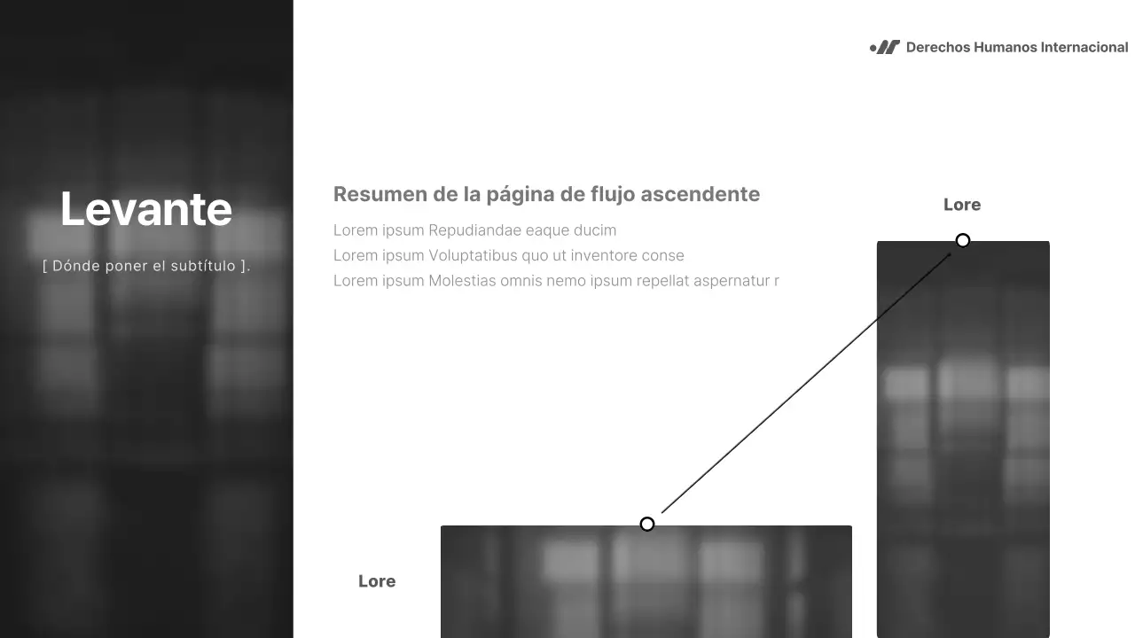 Informe en blanco y negro, sencillo pero contundente, para las ONG