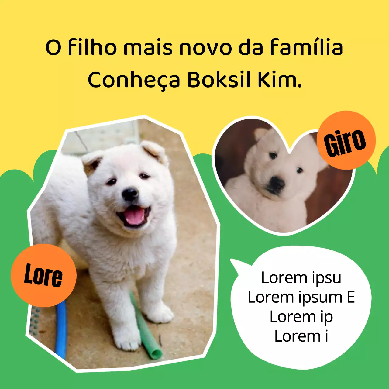 Publicação de perfil de um cachorrinho amarelo e chartreuse muito giro