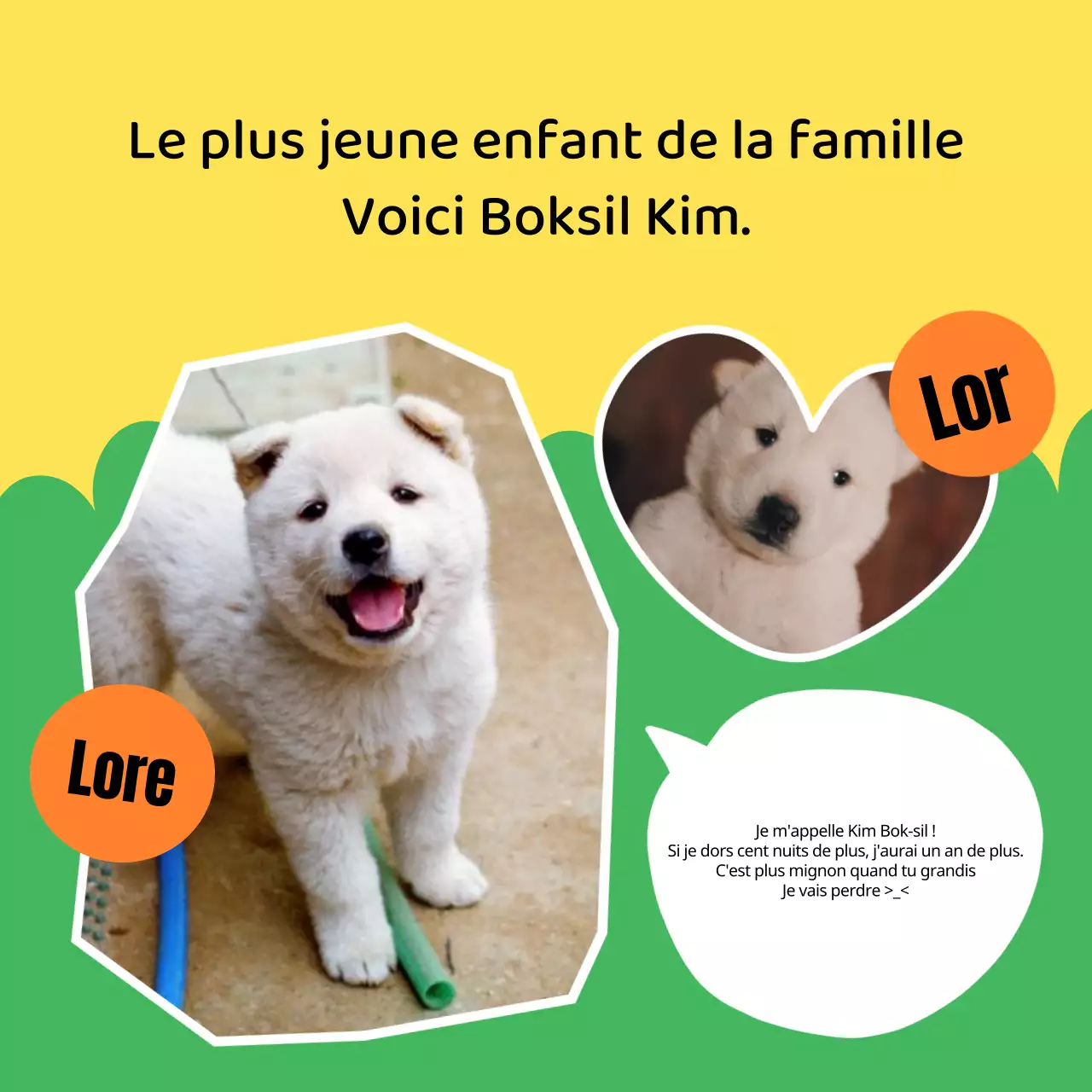 Profil d'un adorable petit chiot jaune et chartreuse