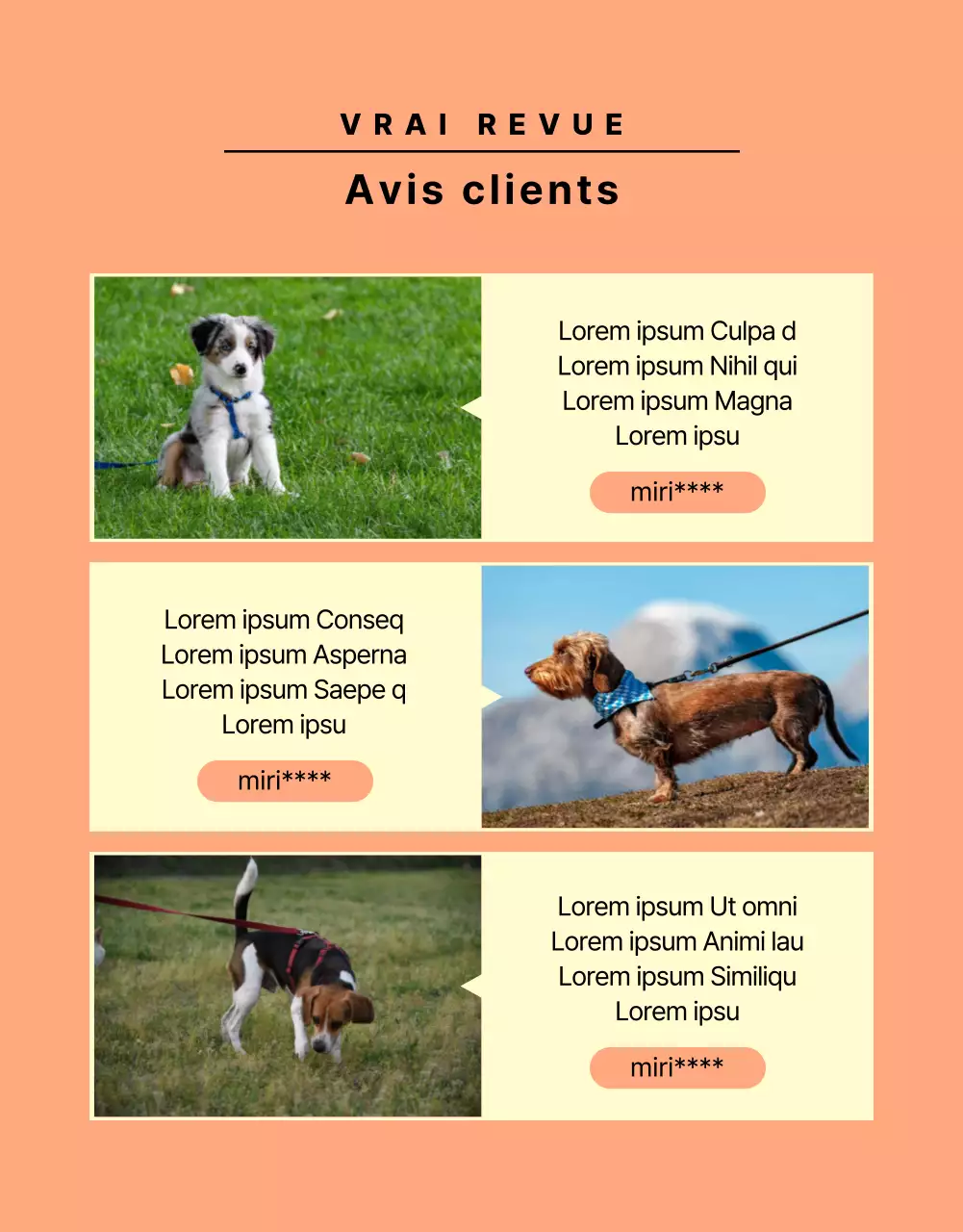Promouvoir une simple laisse pour chien jaune et orange