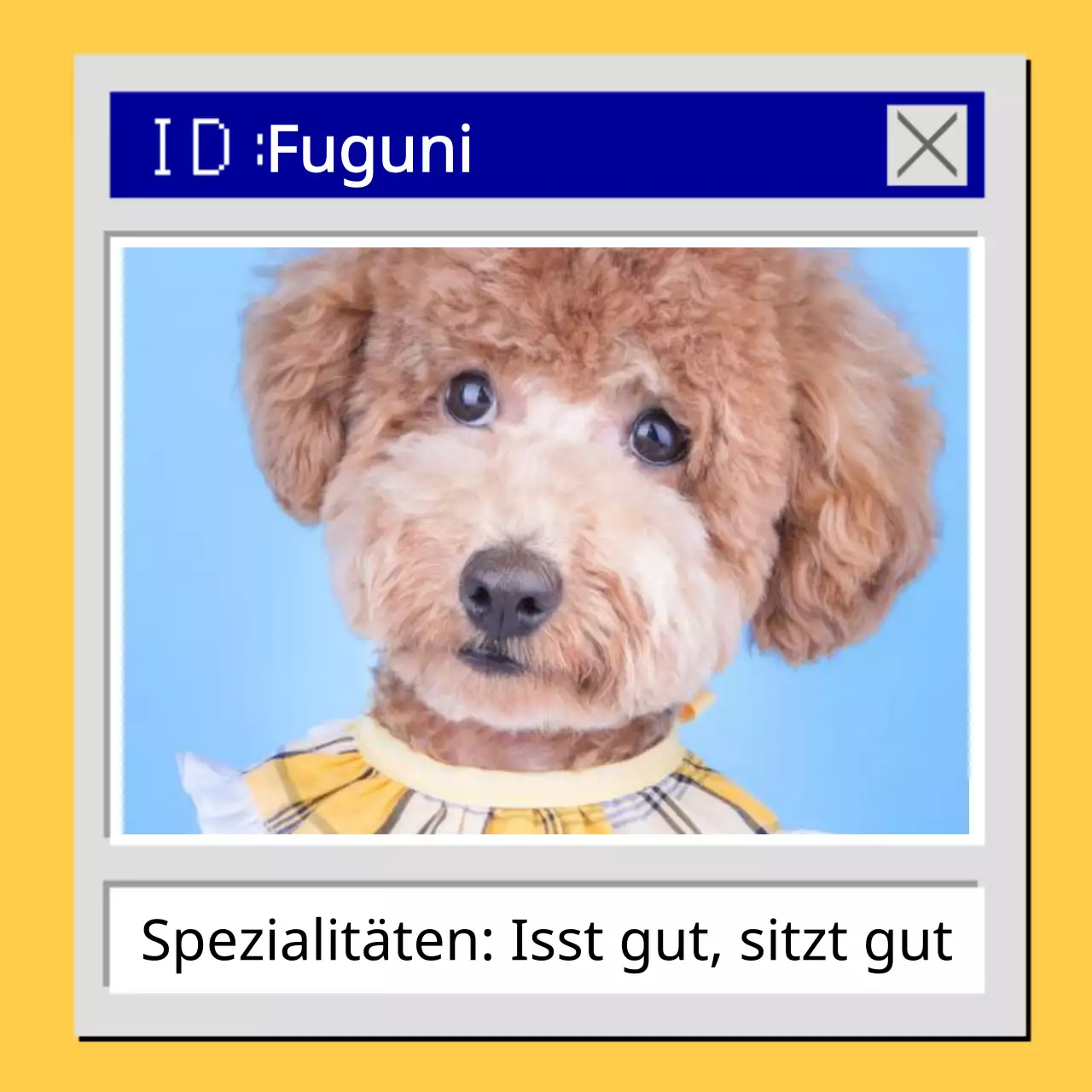 Ein gelber und blauer cyber-esker Welpe @puppypics stellt sich vor