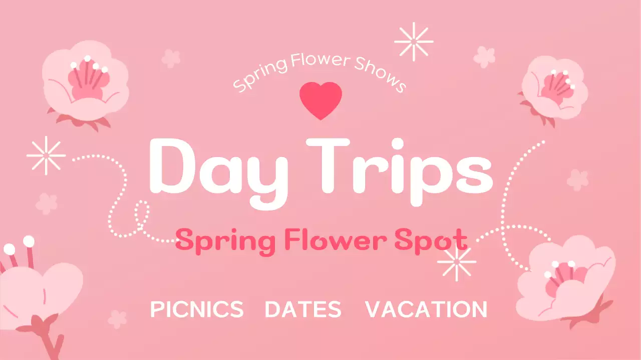 Pink Floral Day Trips Announcement YouTube Thumbnail