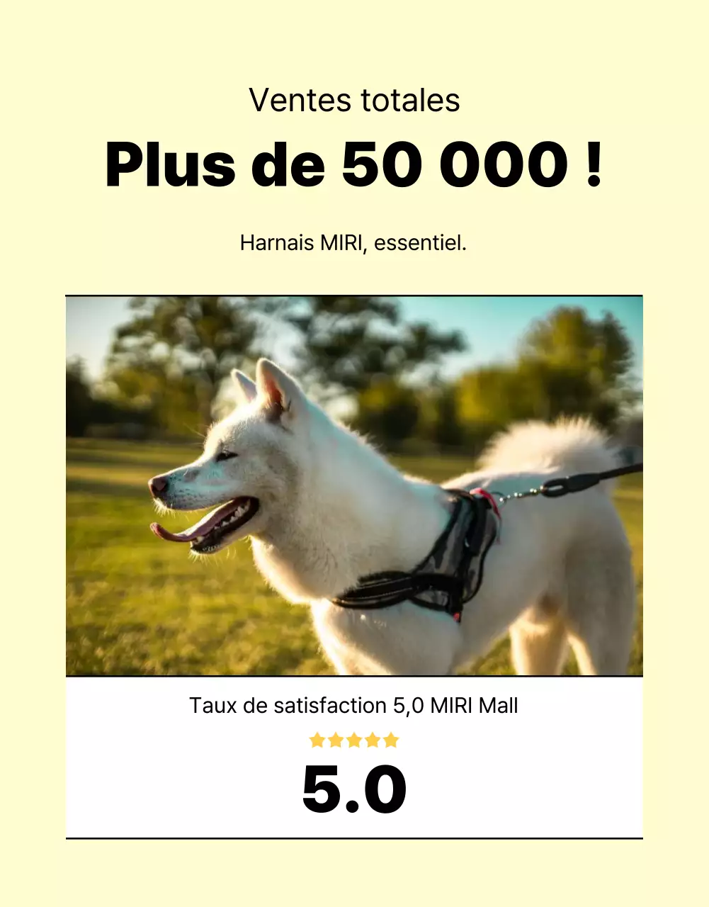 Promouvoir une simple laisse pour chien jaune et orange