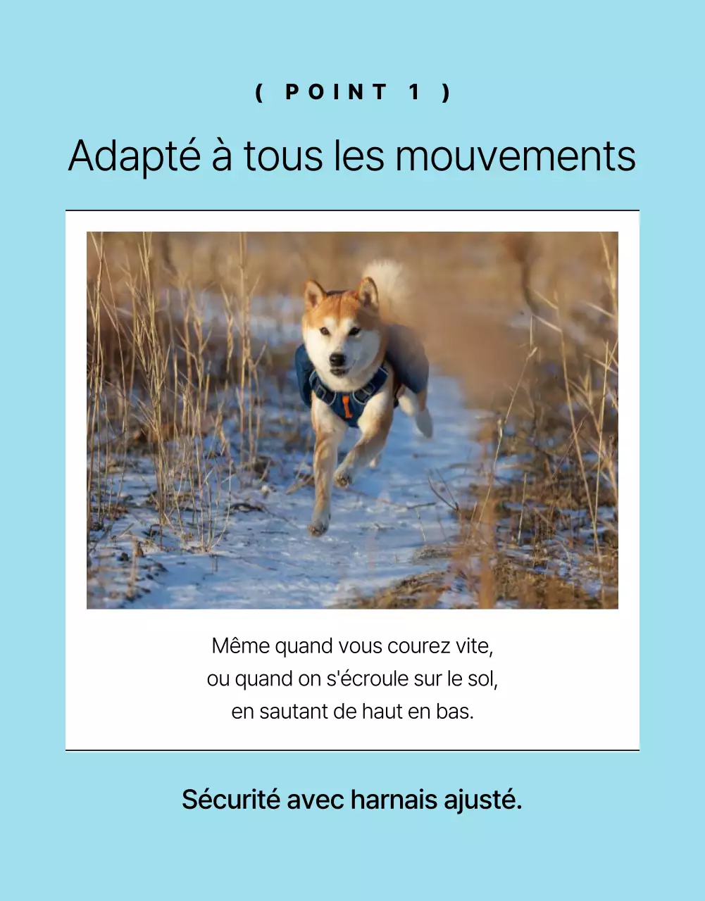 Promouvoir une simple laisse pour chien jaune et orange