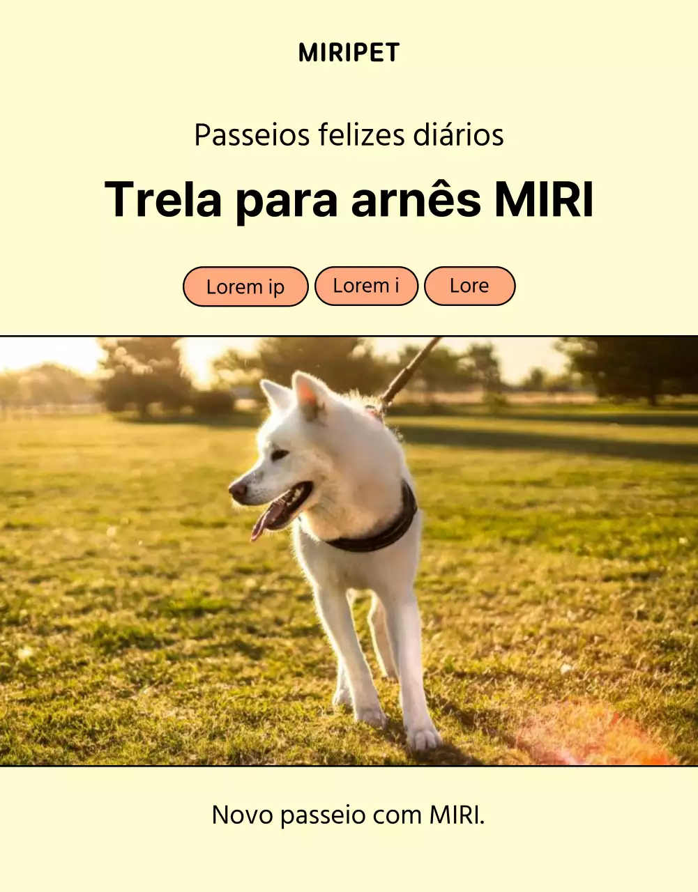 Promover uma simples trela amarela e cor de laranja para cães
