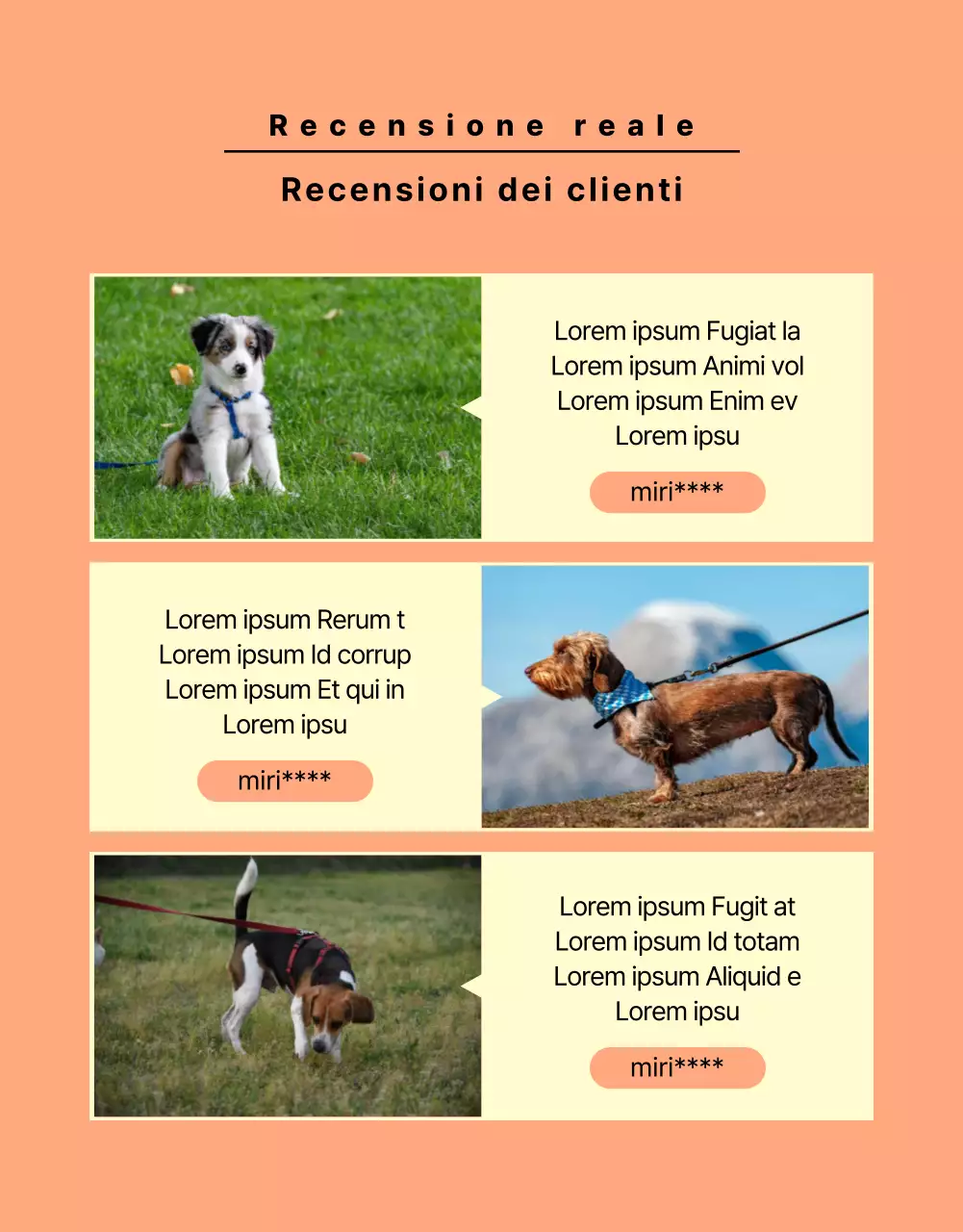 Promuovere un semplice guinzaglio per cani giallo e arancione