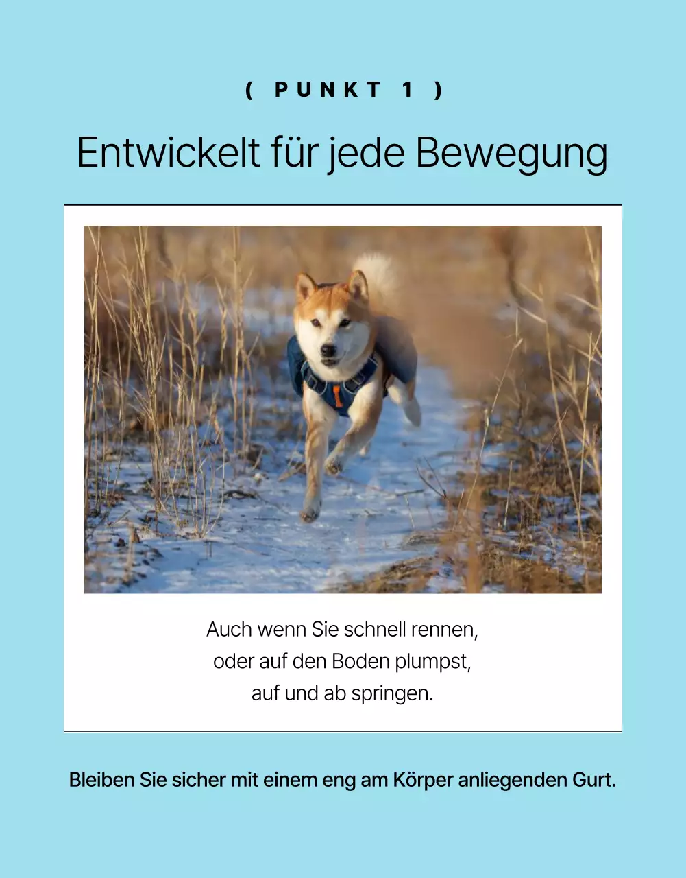 Förderung einer einfachen gelben und orangefarbenen Hundeleine