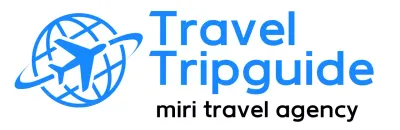 Travel agent guides with airplane illustrations