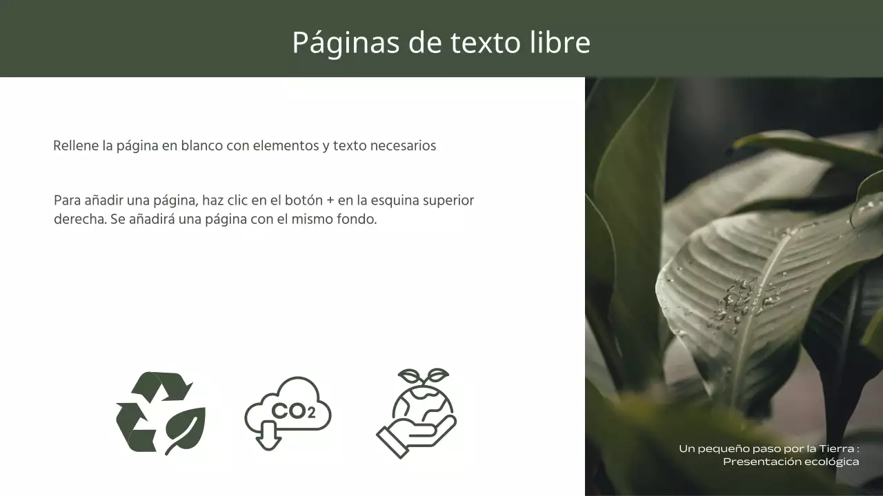 Un sencillo informe verde y amarillo