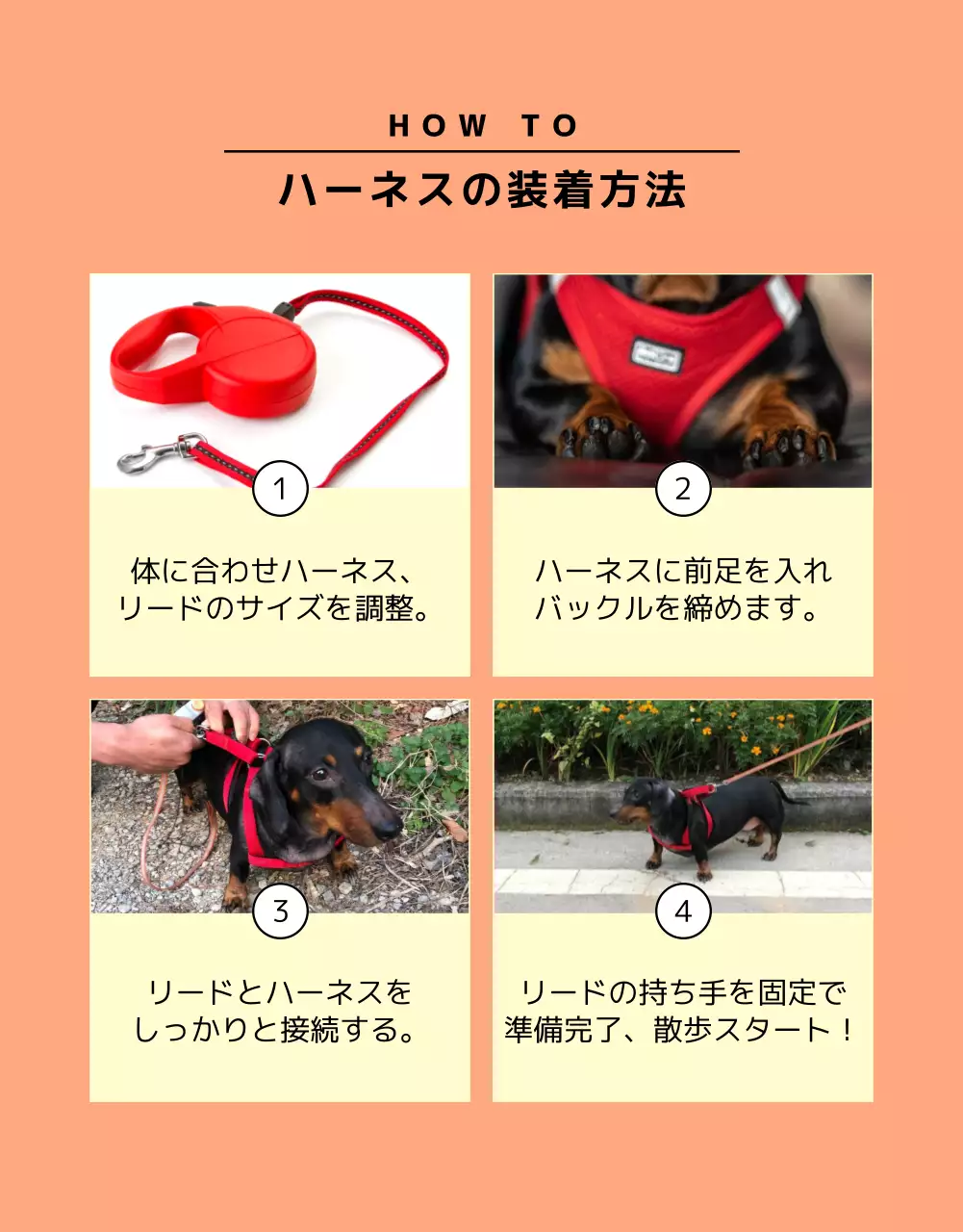 ベージュ シンプル ペット チラシ 詳細ページ