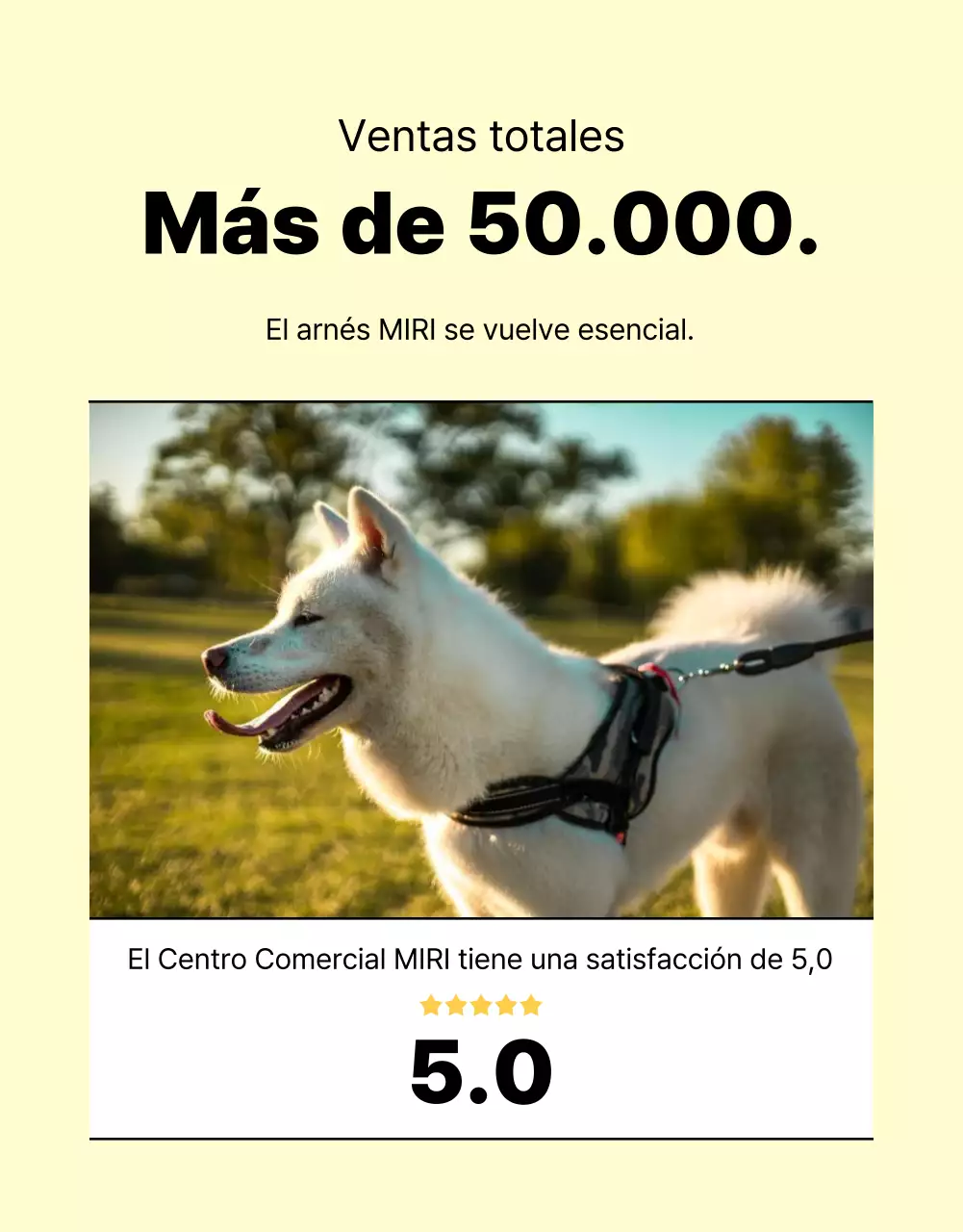 Promover una sencilla correa amarilla y naranja para perros